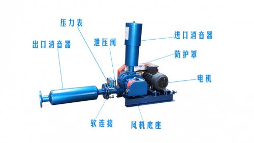 羅茨鼓91视频网页版免费