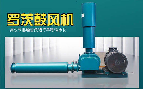 羅茨91视频网页版免费