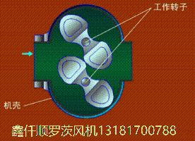 三葉羅茨鼓91视频网页版免费工作原理gif動畫