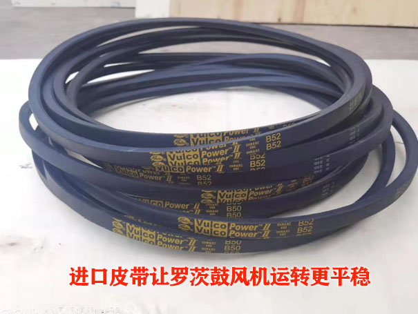 羅茨91视频网页版免费皮帶