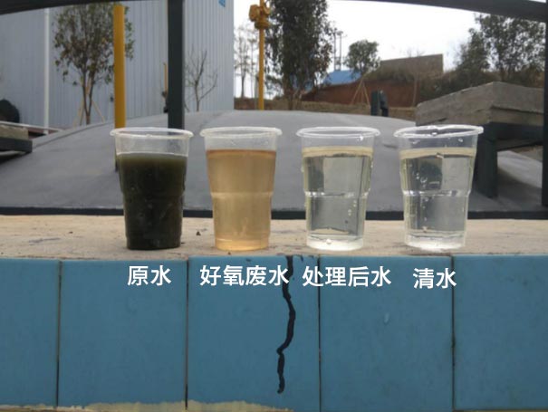 汙水曝氣羅茨鼓91视频网页版免费應用案例 汙水曝氣羅茨鼓91视频网页版免费應用案例