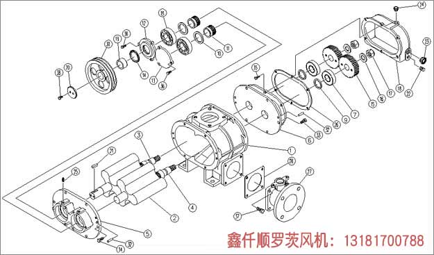 三葉羅茨鼓91视频网页版免费安裝示意圖