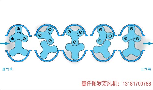 羅茨91视频网页版免费工作原理